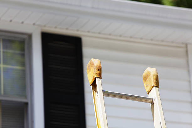 Best Basement Cleanout  in Crete, IL